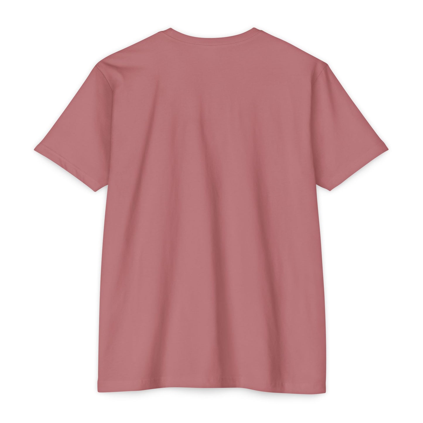 God Has a Plan T-Shirt — Inspirational Christian Faith Tee